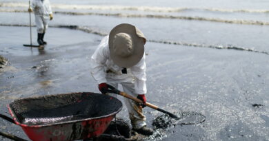Perú declara la emergencia ambiental por el derrame de petróleo provocado por el tsunami en Tonga