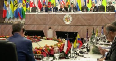 La OEA convoca a su Consejo Permanente para analizar la situación en Venezuela