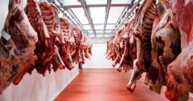 Mientras Caputo pide que lo aplaudan, el consumo sigue en caída y los argentinos comen 5 kilos menos de carne que el año pasado