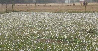Sigue la alerta naranja por tormentas con granizo: Santa Fe y otras 12 provincias afectadas