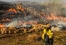 Incendios en Corrientes: hay diez focos activos