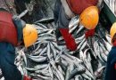 La actividad pesquera argentina impulsa la industria naval nacional