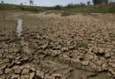 Economía prorroga la emergencia agropecuaria por sequía en nueve distritos de Santa Fe