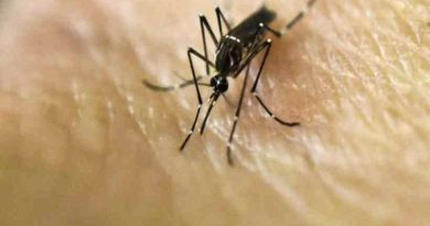 Se registraron 47 nuevos casos de fiebre chikungunya