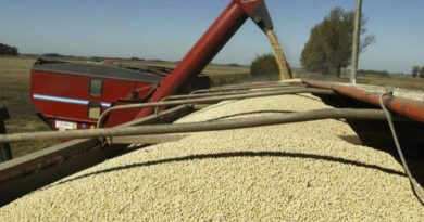 Preocupación de la agroindustria por una letra chica incluida en el acuerdo entre el Mercosur y la Unión Europea