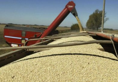 Preocupación de la agroindustria por una letra chica incluida en el acuerdo entre el Mercosur y la Unión Europea