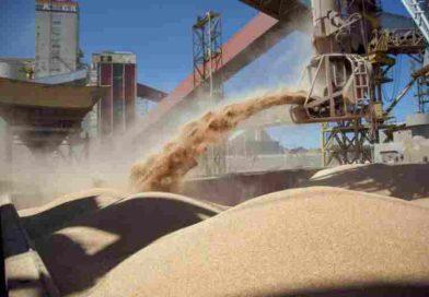 El agro liquidó US$2.750 millones en agosto y registra una caída del 12% en el año