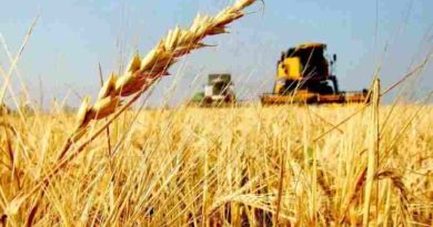 Sale el primer embarque de trigo argentino a China y se inaugura un nuevo flujo comercial