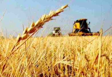 Sale el primer embarque de trigo argentino a China y se inaugura un nuevo flujo comercial