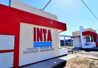 La motosierra de Milei arranca el año por el INTA, sigue con las becas del CONICET y va por más