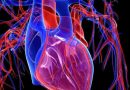 Innovación terapéutica en el tratamiento de la Insuficiencia Cardíaca