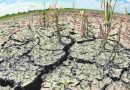 Grave escenario: Si en las próximas horas no llueve en Uruguay, se podrían quedar sin reserva de agua en 18 días
