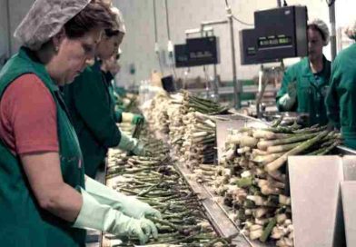 El economista Gustavo Lázzari advirtió que un tercio de las pymes está en zona crítica