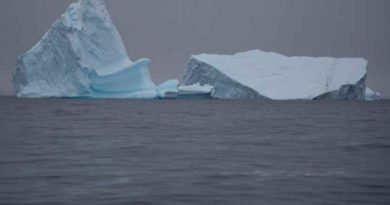 Avanza el cambio climático en el Polo Sur: el hielo antártico alcanza su mínimo histórico