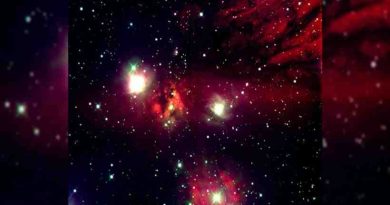Investigadores lograron describir las características de un cúmulo de estrellas “bebé”
