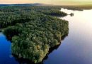 Brasil: Aumentó la deforestación en la Amazonia durante el mes de mayo