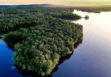 La bioeconomía sostenible impulsada por mujeres en la Amazonia brasileña