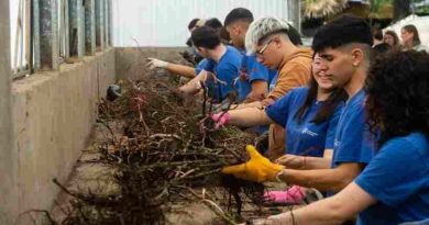 Escuela de Jardinería: en octubre habrá cursos y talleres abiertos destinados a toda la comunidad