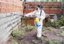 Alarma por los casos de dengue en Rosario: Son 4500 casos confirmados y “se espera un aumento creciente de infectados en los próximos meses”, advirtieron