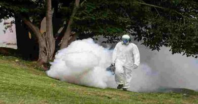 Lucha contra el dengue: Desde el refuerzan los operativos de fumigación en espacios verdes