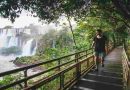 Motosierra 2.0: el Gobierno oficializó un régimen de retiro voluntario en Parques Nacionales