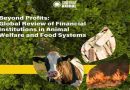 Informe revela que las instituciones financieras no están alineadas con el bienestar animal y la sostenibilidad de sistemas alimentarios