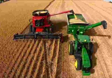 El sector agroexportador liquidó U$S 1.117 millones en octubre