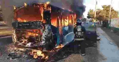 En la zona sur un colectivo del transporte urbano se incendió por completo