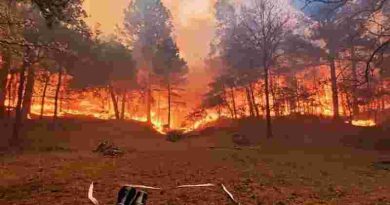 Córdoba: Condenaron a un hombre por provocar un incendio forestal