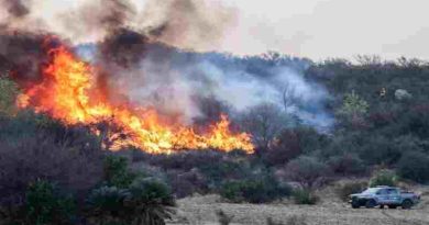 Córdoba: Los incendios forestales siguen sin dar tregua