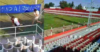 Córdoba: Ocho heridos por el ataque de un enjambre de abejas durante un partido de fútbol