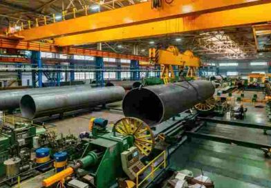 La actividad económica disminuyó en noviembre