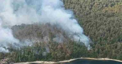 Incendios en Bariloche: Trabajan casi 100 brigadistas para socavar el fuego