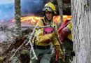 Bariloche: El fuego ya consumió casi 1.500 hectáreas en el sur de la ciudad