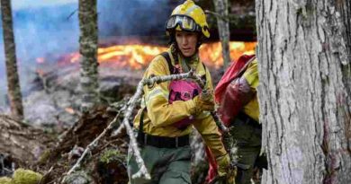 Bariloche: El fuego ya consumió casi 1.500 hectáreas en el sur de la ciudad