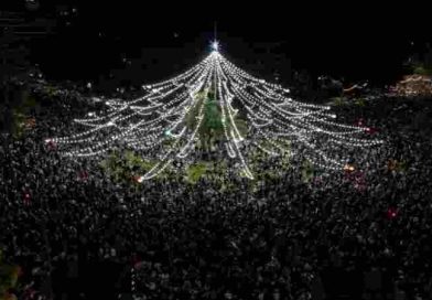 El arbolito de Oroño y Pellegrini se ilumina para celebrar una nueva Navidad rosarina