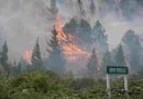 Sigue el incendio forestal en Epuyén y ya se quemaron más de 3 mil hectáreas