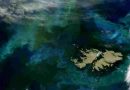 Las Islas Malvinas rodeadas de fitoplancton