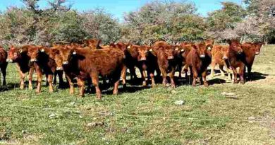 Murió un productor agropecuario de 70 años por las inundaciones de “El Niño” en Santa Fe