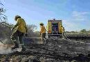 Brigadistas lograron apagar los incendios en Cacique Ariacaiquín