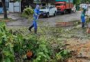 Hubo alrededor de mil reclamos por el temporal en Rosario