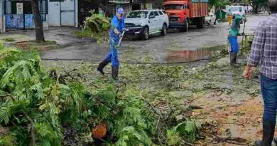 Hubo alrededor de mil reclamos por el temporal en Rosario