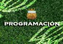 Confirmaron la programación de las fechas 5 y 6 del Torneo Clausura: El clásico rosarino  se jugará el 23 de agosto a las 17.30 horas