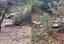 Tragedia aérea en Chile: Se accidentó una avioneta ambulancia y la hallaron sin sobrevivientes