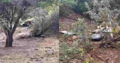 Tragedia aérea en Chile: Se accidentó una avioneta ambulancia y la hallaron sin sobrevivientes