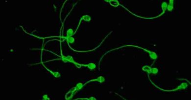 Una tecnología creada por argentinos aumentó las tasas de éxito en tratamientos de reproducción asistida
