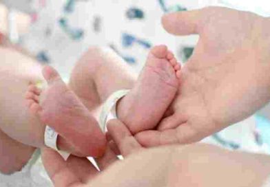Una socióloga cruzó a Milei al desmentir que el aborto cause la baja de natalidad