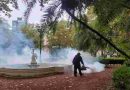 En la lucha contra el dengue continúan los operativos de fumigación en más de 50 puntos de la ciudad