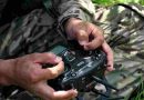 Rusia y Ucrania intercambian prisioneros pero no cesan las hostilidades