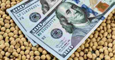 Calculan que eliminar las retenciones al agro aumentaría las exportaciones a US$50.500 millones en 2036